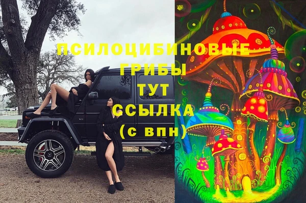 стафф Козельск