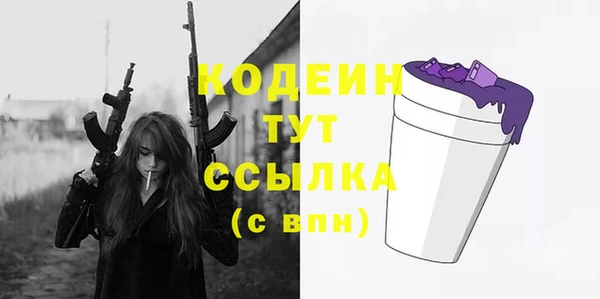 индика Кодинск