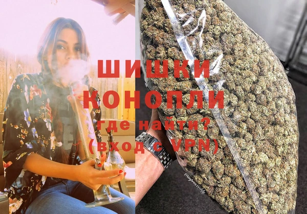 ПСИЛОЦИБИНОВЫЕ ГРИБЫ Балабаново