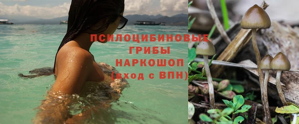 дмт Балахна