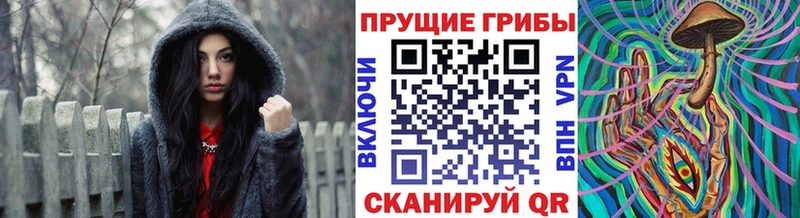 Псилоцибиновые грибы мицелий  Городовиковск 